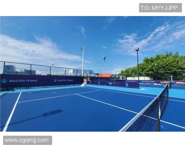 成都网球队个人能力深度对比与发展潜力分析